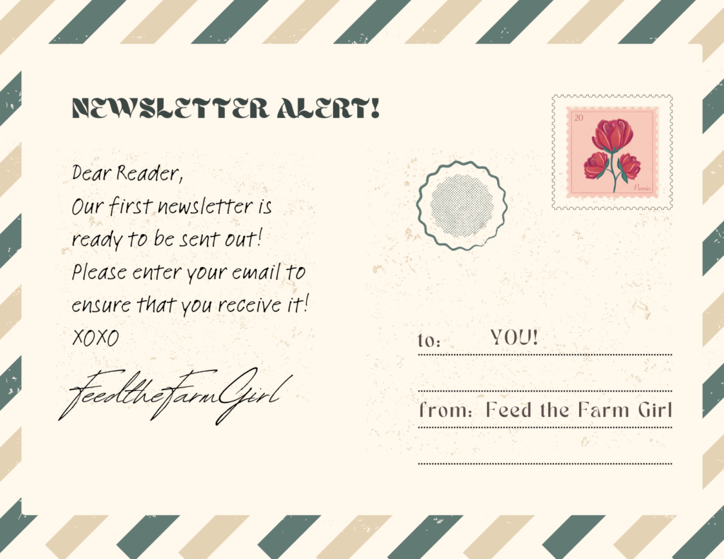 This is a photo of a tan and green digital post card. It reads: " Dear reader, our first newsletter is ready to be sent out! Please enter your email to ensure that you receive it! XOXO Feed the Farm Girl." 