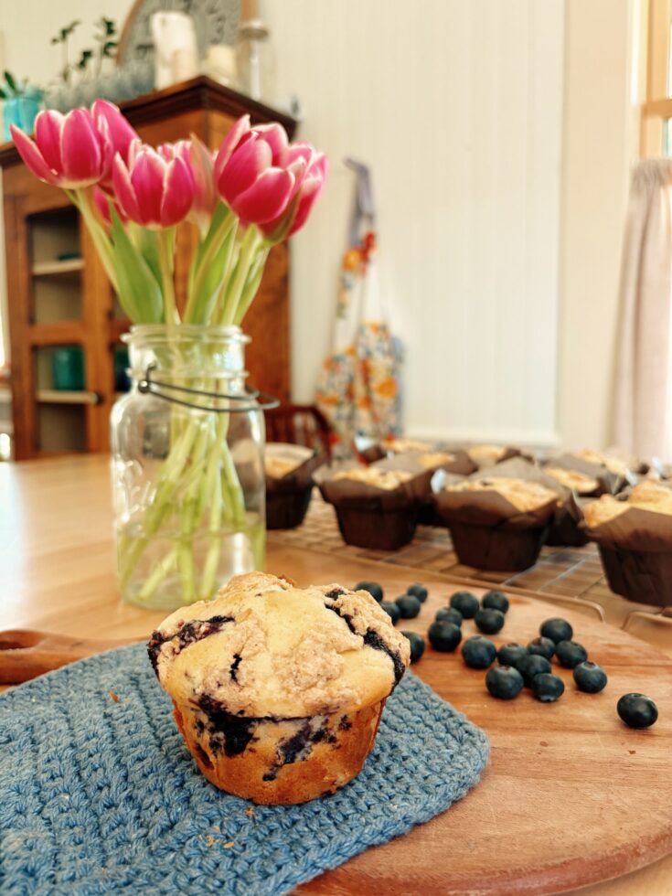 Gluten Free Blueberry Muffins